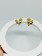 Brinco Gota dupla argola