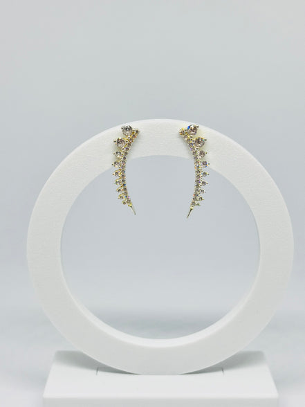 Brinco Prata cravejada