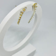 Brinco Prata cravejada