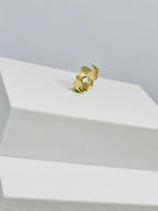 Brinco Piercing Fake