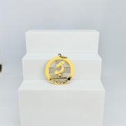 Pingente Profissões