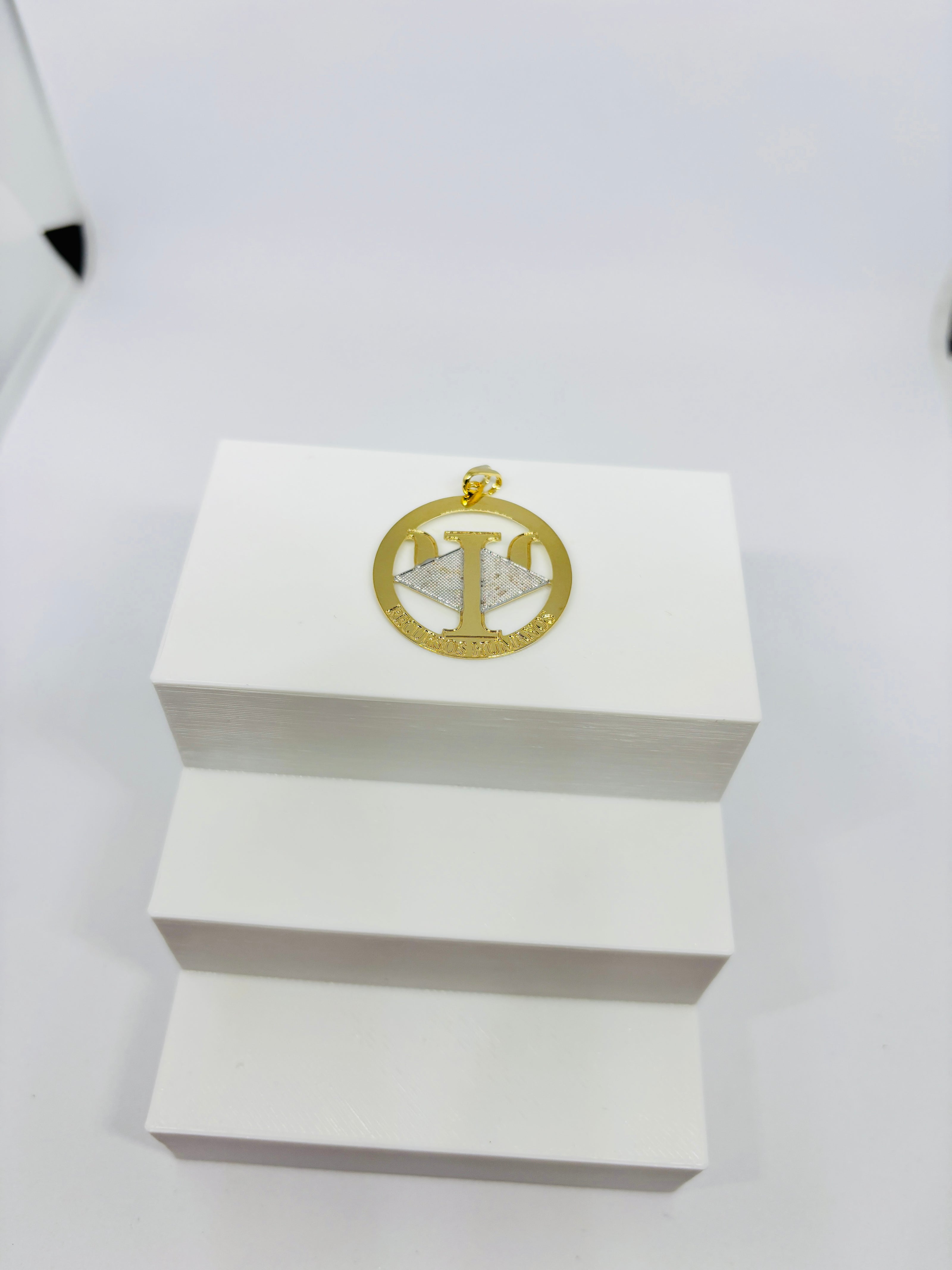 Pingente Profissões