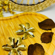 Brinco Monstera