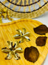 Brinco Monstera