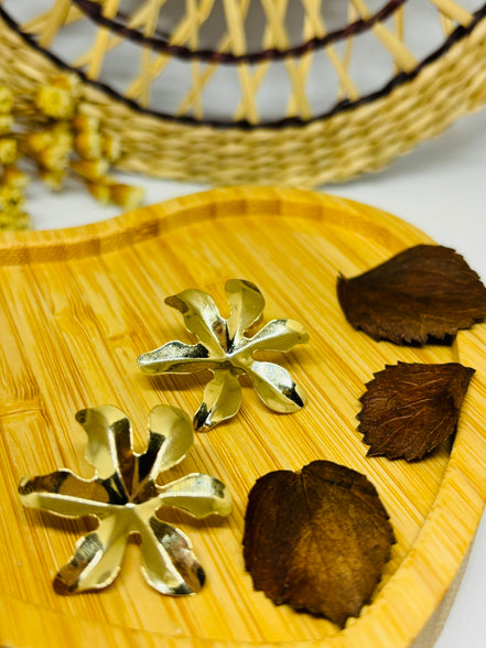 Brinco Monstera