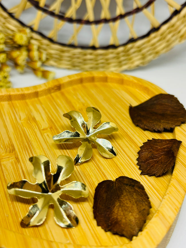 Brinco Monstera