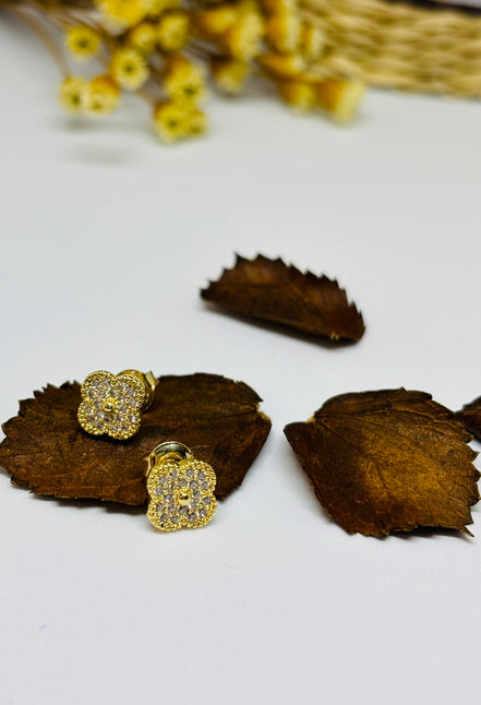 Brinco Flor Cravejada