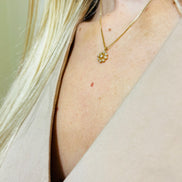 Colar Flor Brilhante