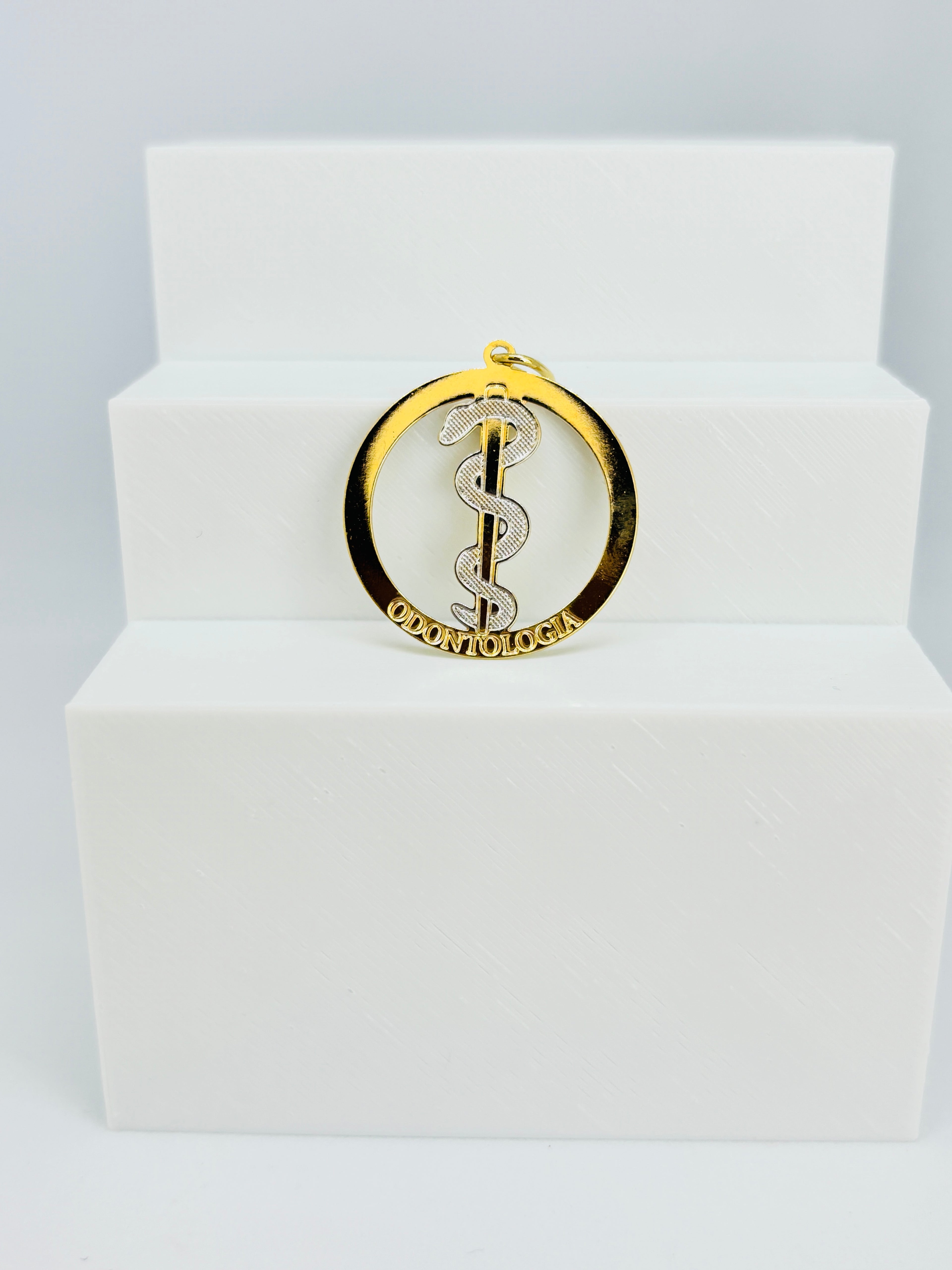 Pingente Profissões