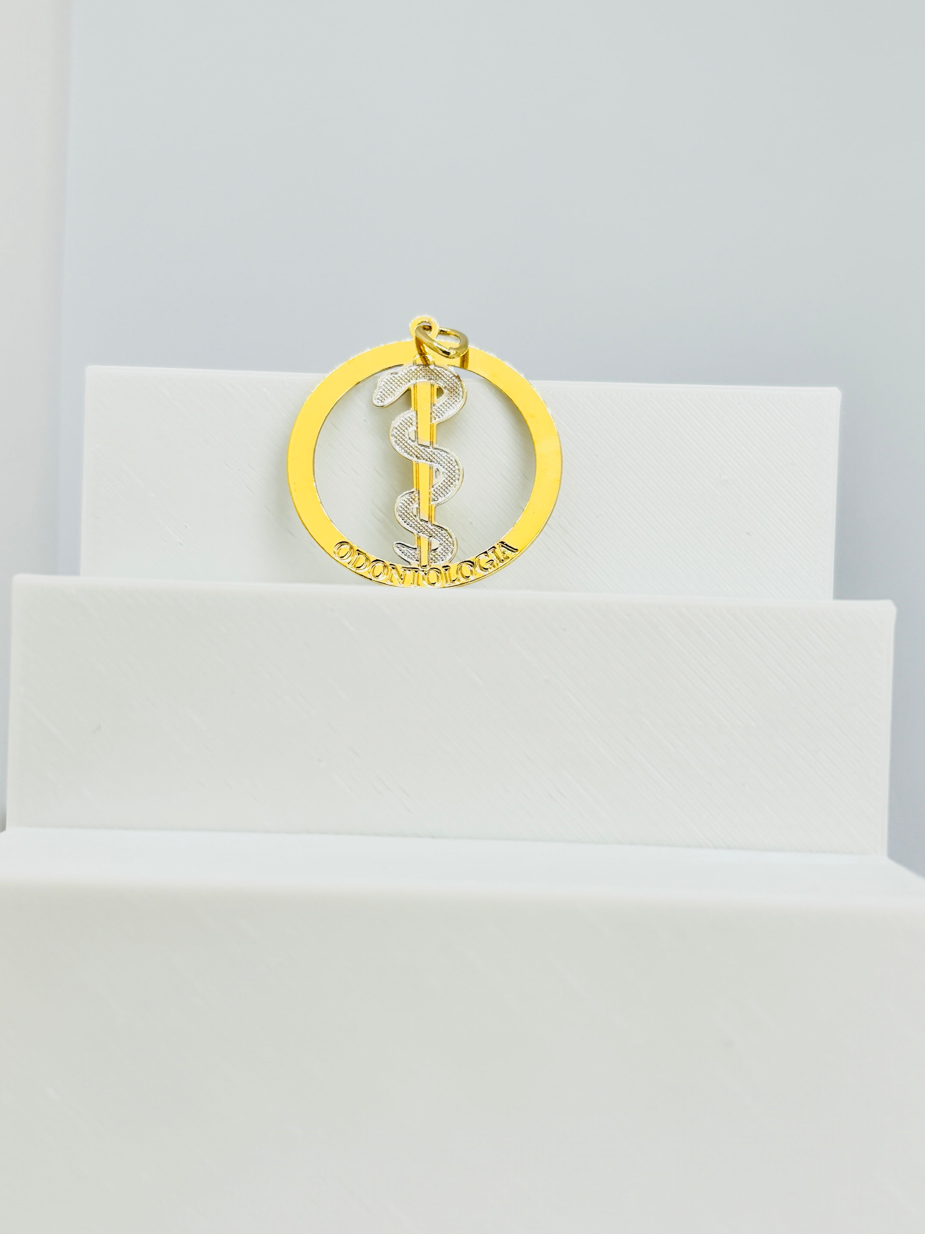 Pingente Profissões