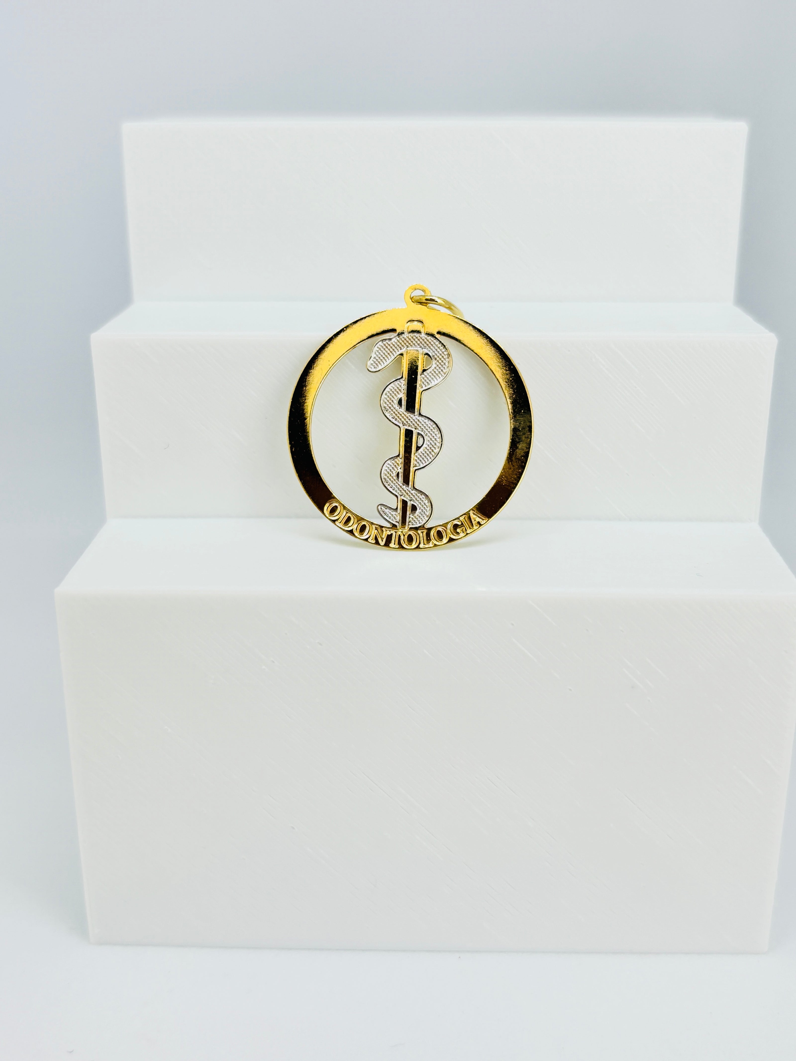 Pingente Profissões