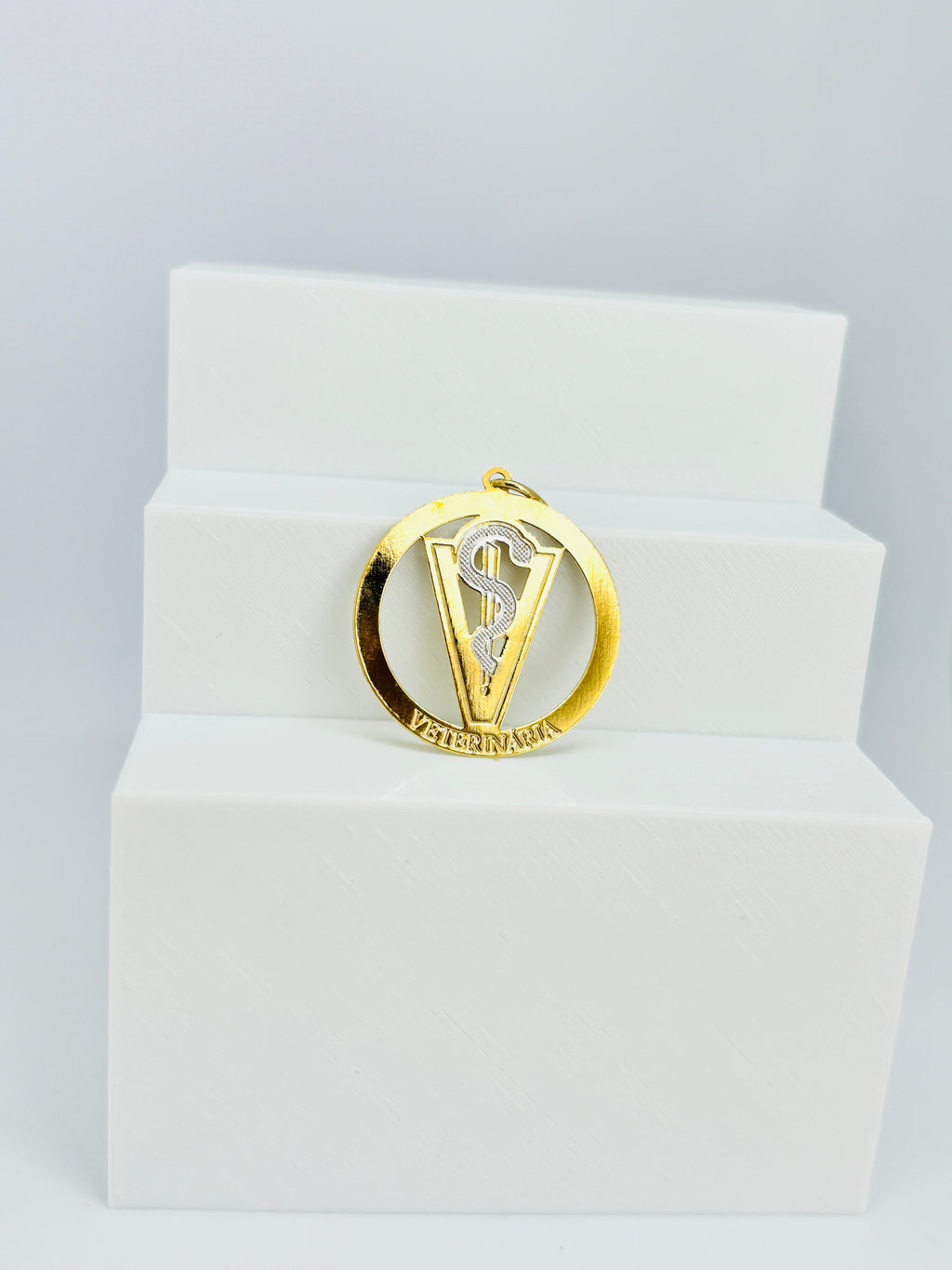 Pingente Profissões