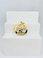 Pingente Profissões