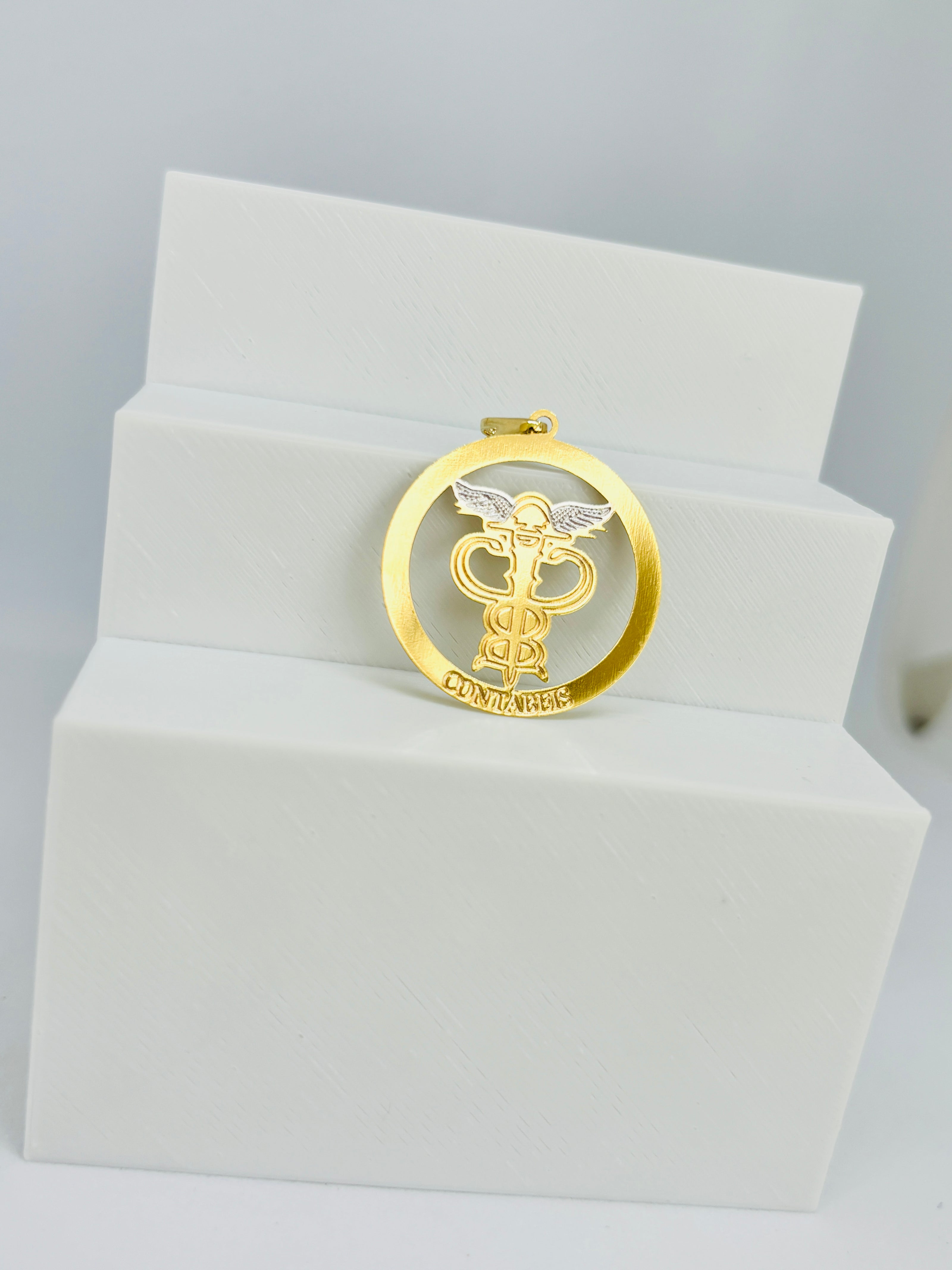 Pingente Profissões