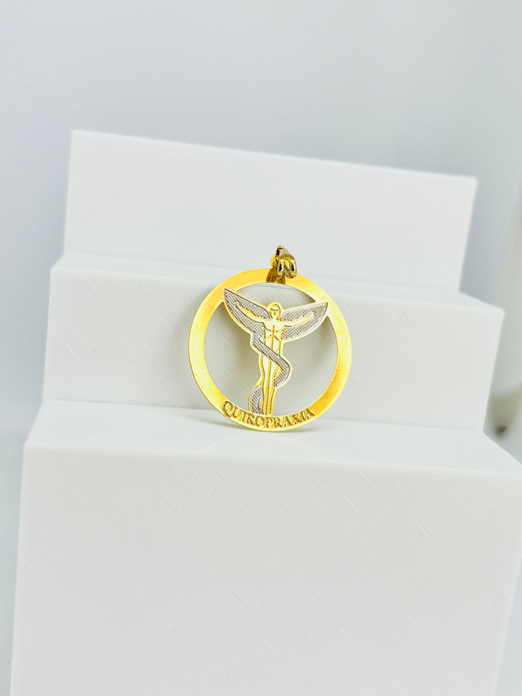 Pingente Profissões