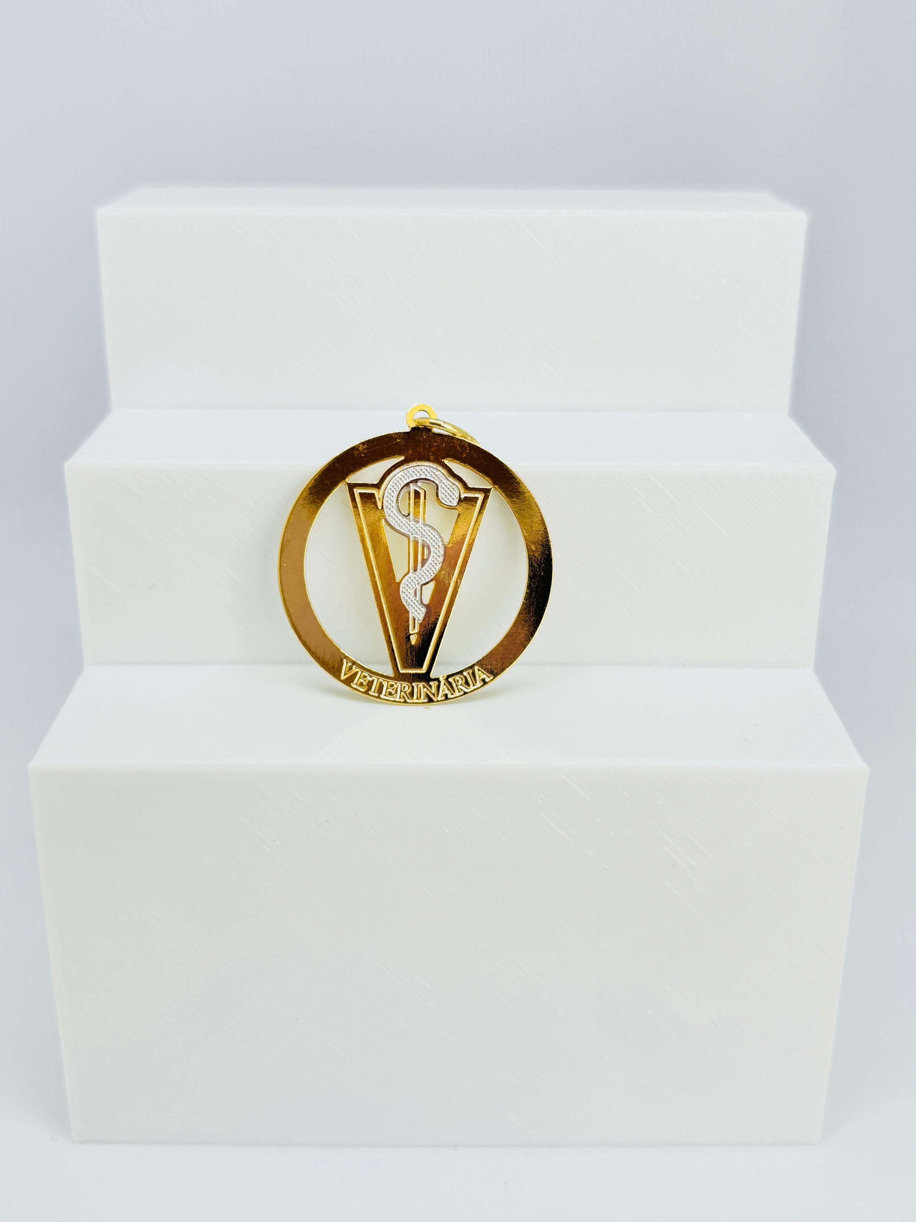 Pingente Profissões