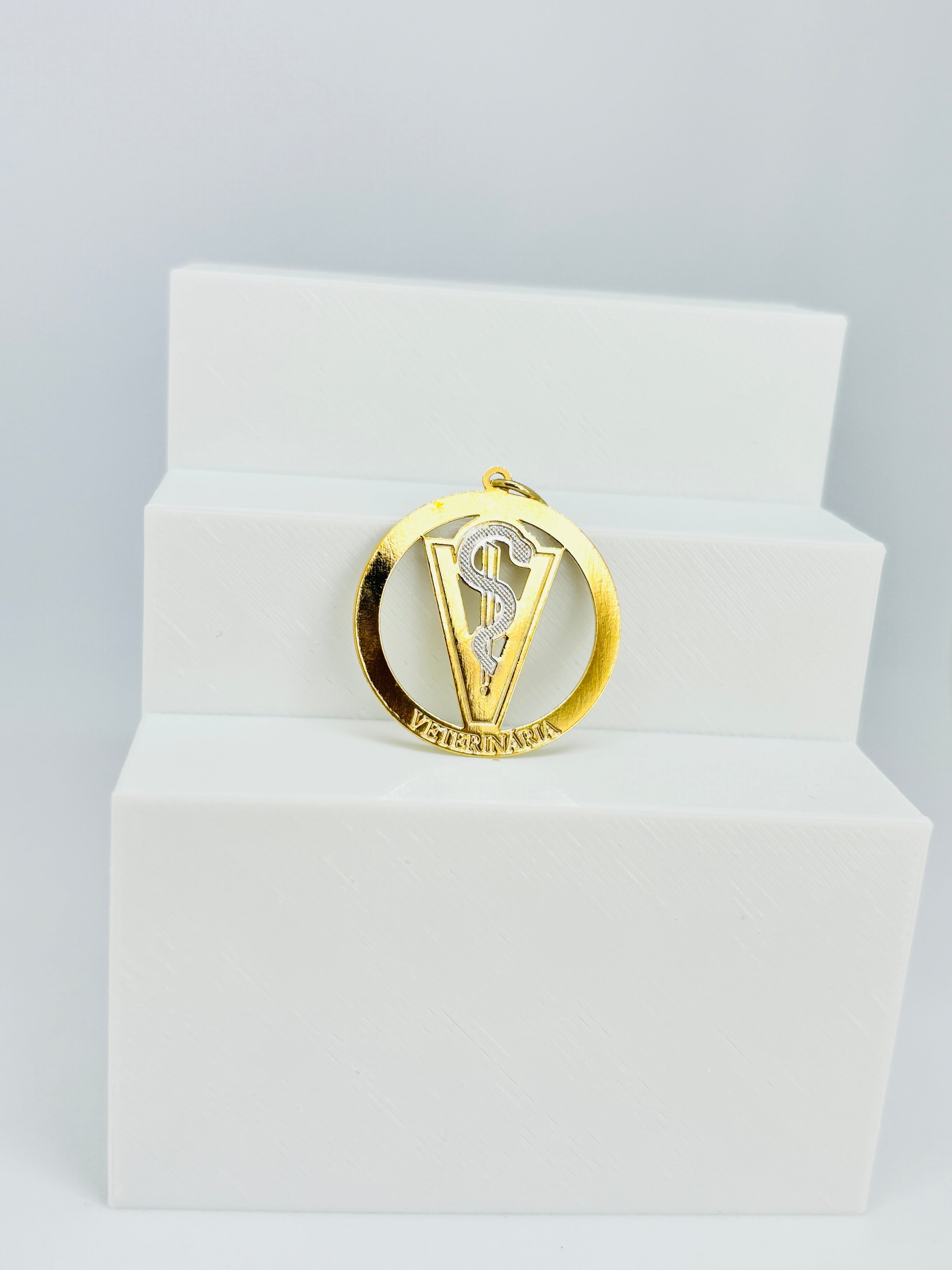 Pingente Profissões