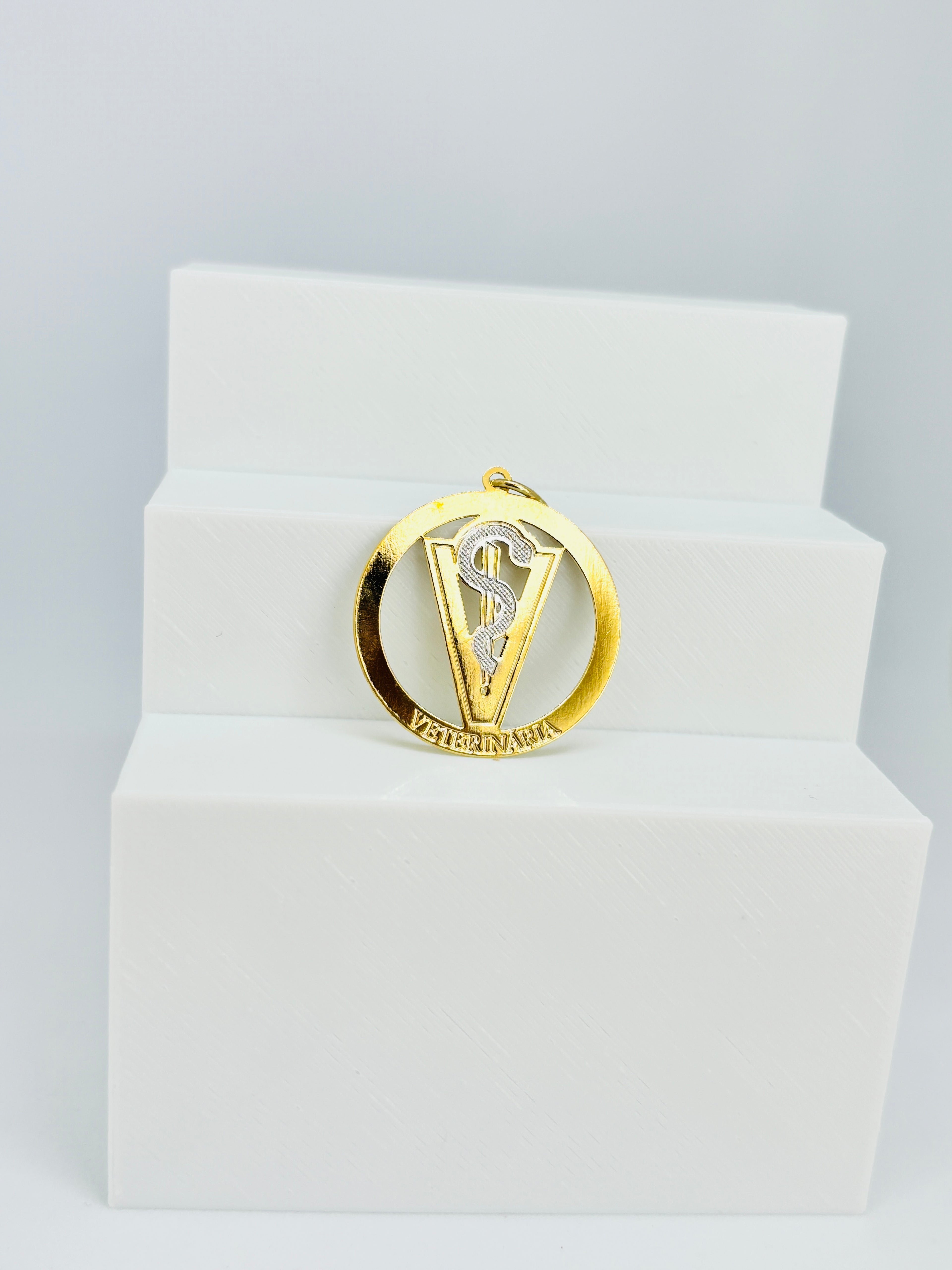 Pingente Profissões